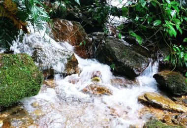 Cuenca 2
